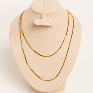 Collar Dina